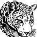 سبلان درب سلماس